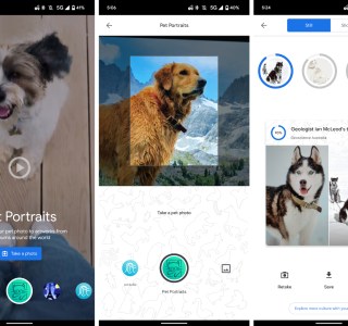Comparez la photo de votre chien avec un tableau célèbre grâce à Google Arts et Culture