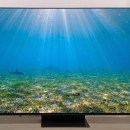 L’un de nos TV QD-OLED préféré, le Samsung TQ55S95F, perd plus de 600 € de son prix