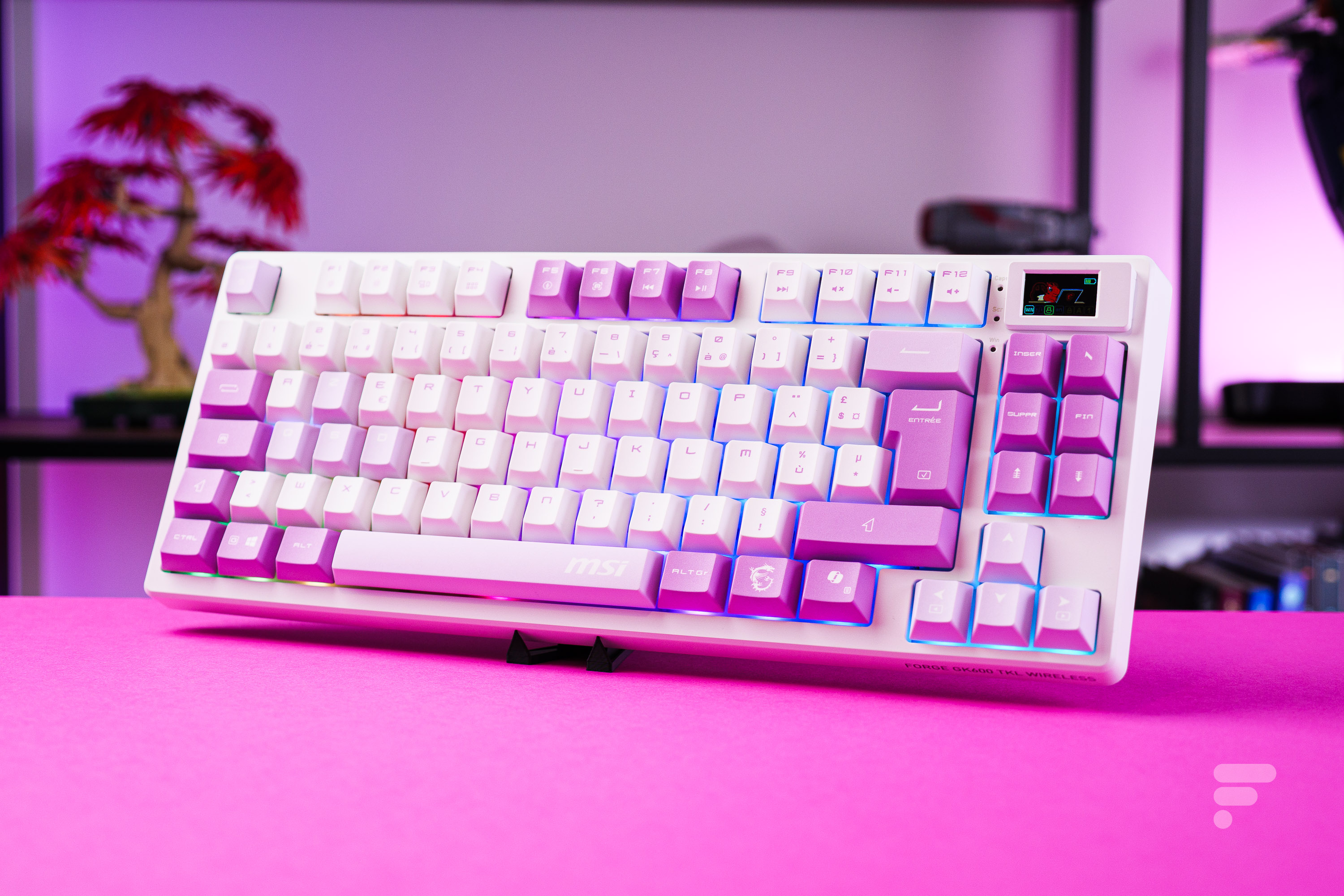 Test MSI Forge GK600 TKL Wireless : complet, pas cher, parfait ?