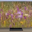 Pourquoi ce TV Mini LED géant de 85 pouces (144 Hz) avec 400 € en moins mérite votre attention ? 