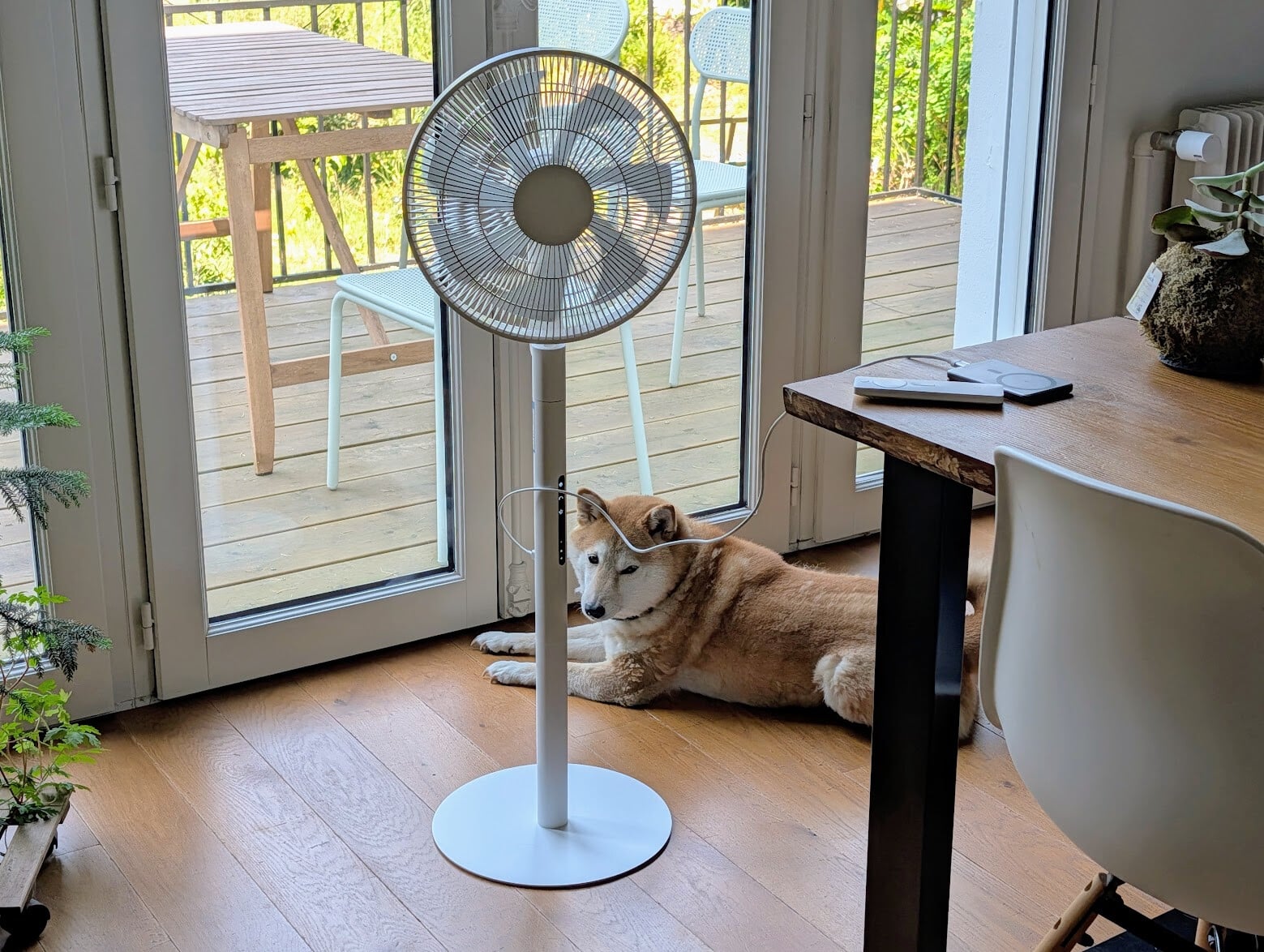 Test du Xiaomi Mijia Smart Standing Fan Pro Slim : le ventilateur connecté que j’emporte d&rsquo;une pièce à l&rsquo;autre
