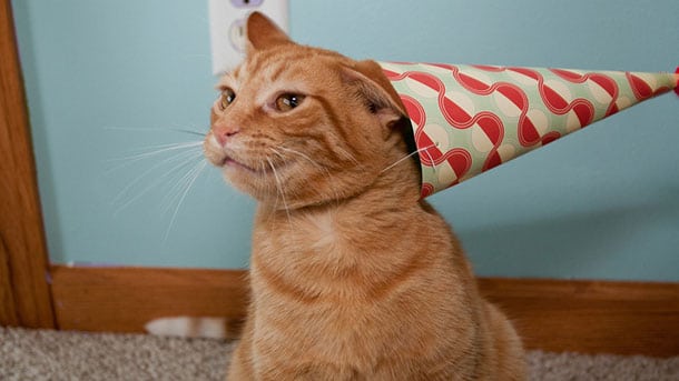 Comment Rappeler Aux Gens Que C Est Votre Anniversaire Pour Qu Ils N Oublient Pas