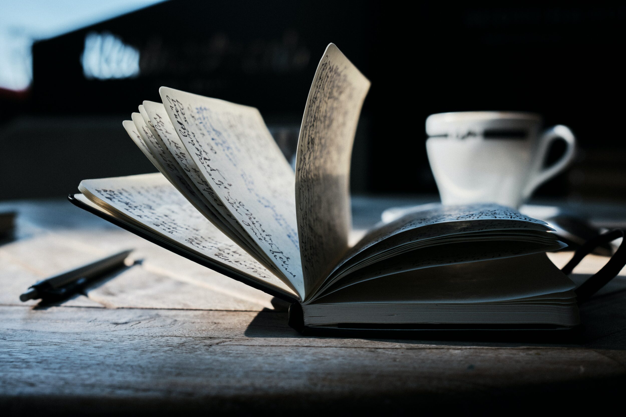 NaNoWriMo 2021 : journal de bord d’un échec programmé ?