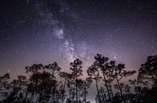 Comment observer l'essaim d'étoiles filantes des Delta Aquarides Sud ce mercredi 29 juillet ?