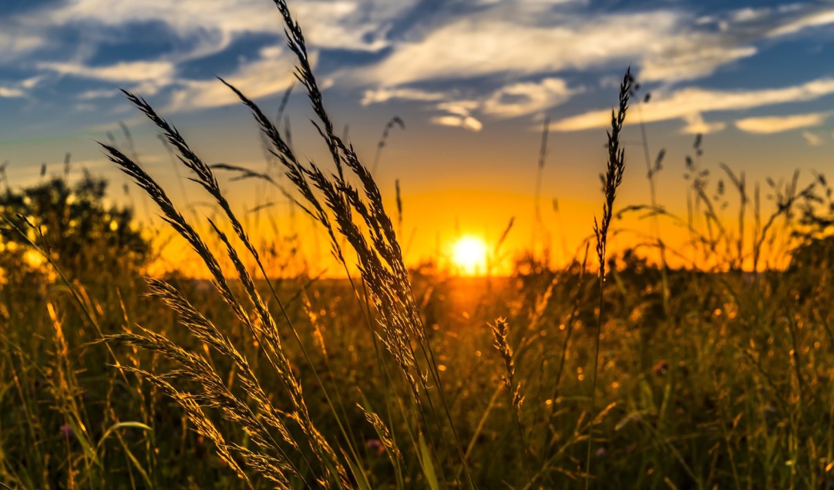 Solstice D Ete Pourquoi L Ete Ne Tombe T Il Pas Toujours Le 21 Juin Solstice D Ete Pourquoi L Ete Ne Tombe T Il Pas Toujours Le 21 Juin