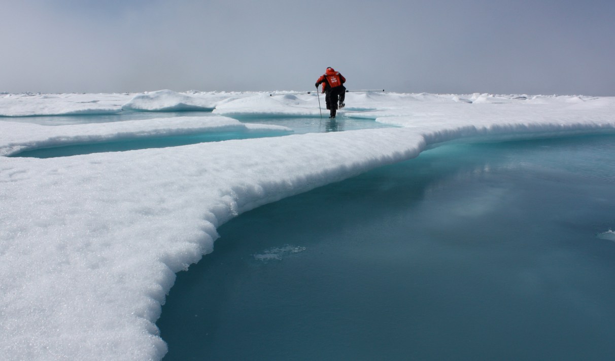 Non Le Niveau Des Mers Ne Monte Pas A Cause De La Fonte De La Banquise