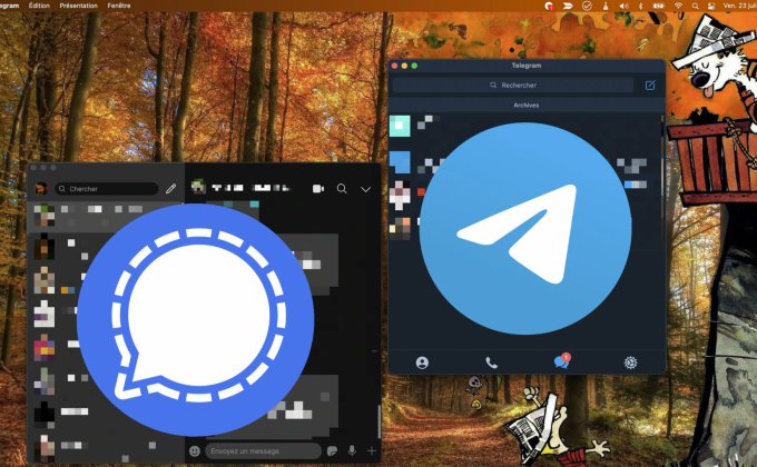 Comment Savoir Si On Est Bloqué Sur Signal Telegram : Tout savoir - Numerama